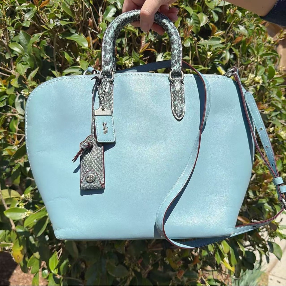 Coach Dakotah Satchel With Colorblock Snakeskin Detail 59984